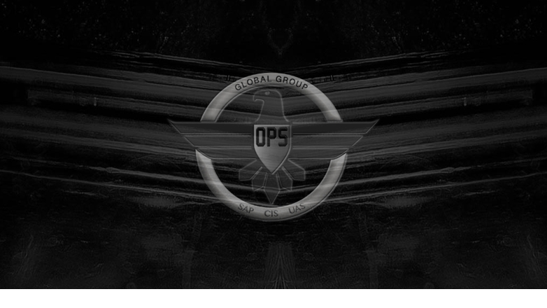 OPS CONSULTING AND INVESTIGATIVE SERVICES, LLC